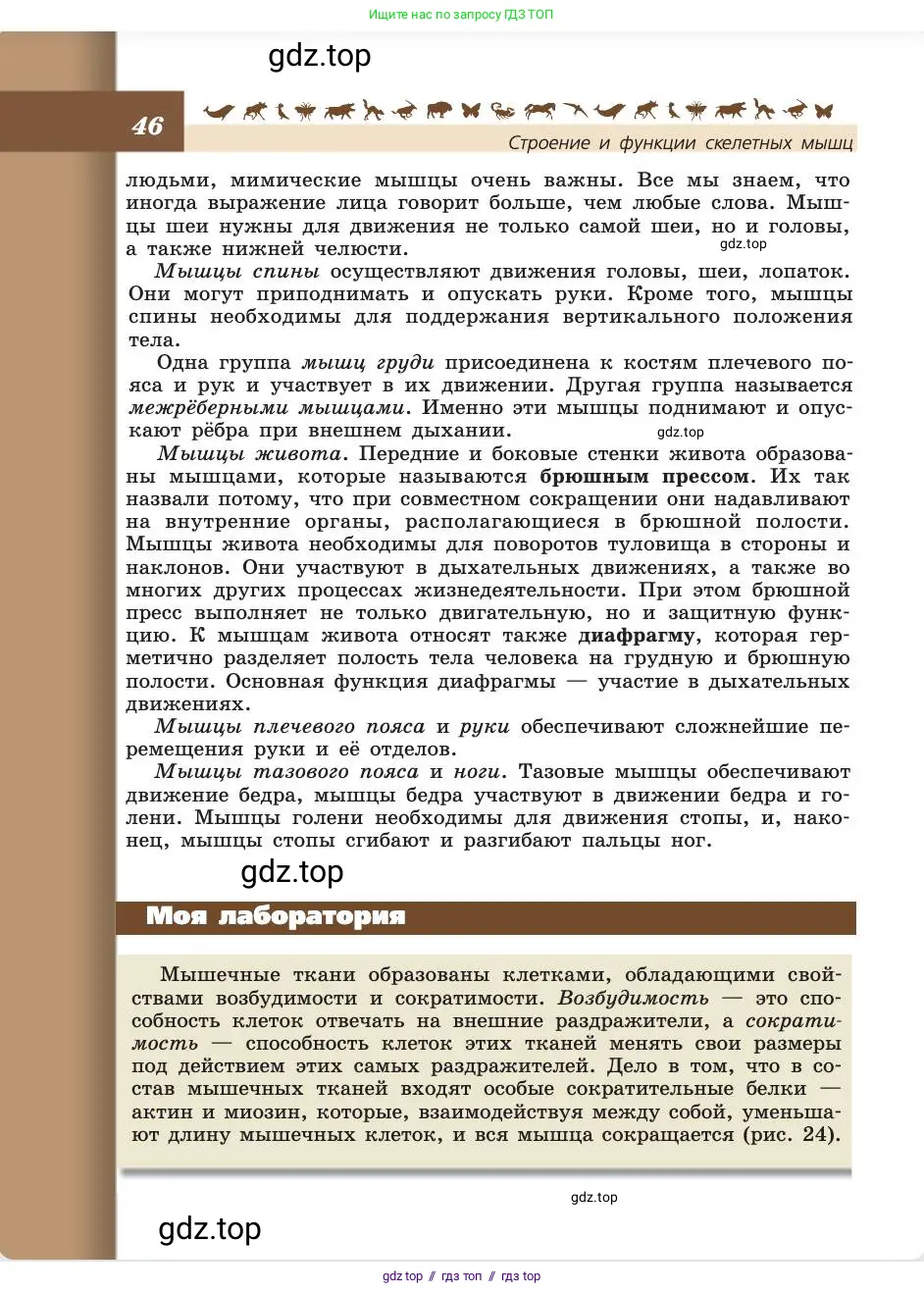 Биология, 8 класс Учебник, авторы: Пасечник Владимир Васильевич, Каменский Андрей Александрович, Швецов Глеб Геннадьевич, издательство Просвещение, Москва, 2019, страница 46