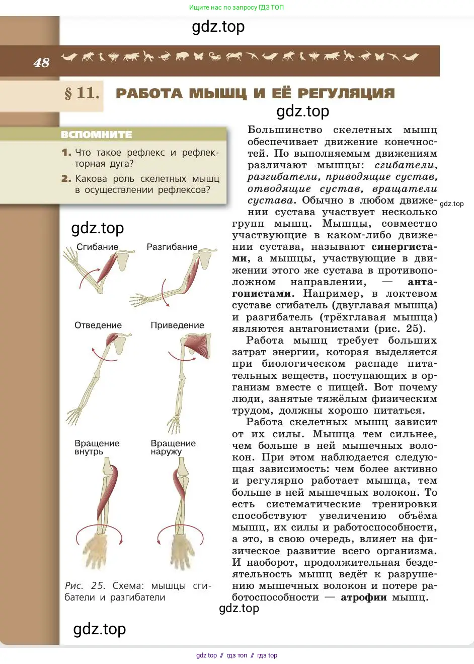 Биология, 8 класс Учебник, авторы: Пасечник Владимир Васильевич, Каменский Андрей Александрович, Швецов Глеб Геннадьевич, издательство Просвещение, Москва, 2019, страница 48