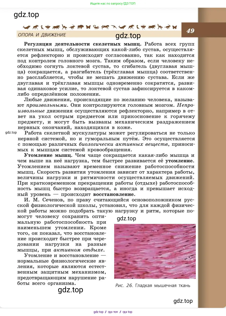 Биология, 8 класс Учебник, авторы: Пасечник Владимир Васильевич, Каменский Андрей Александрович, Швецов Глеб Геннадьевич, издательство Просвещение, Москва, 2019, страница 49
