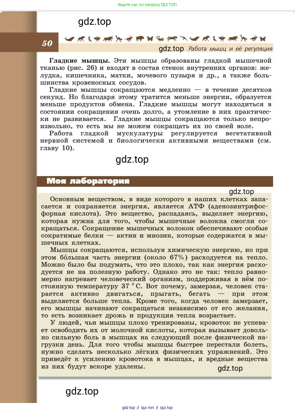 Биология, 8 класс Учебник, авторы: Пасечник Владимир Васильевич, Каменский Андрей Александрович, Швецов Глеб Геннадьевич, издательство Просвещение, Москва, 2019, страница 50