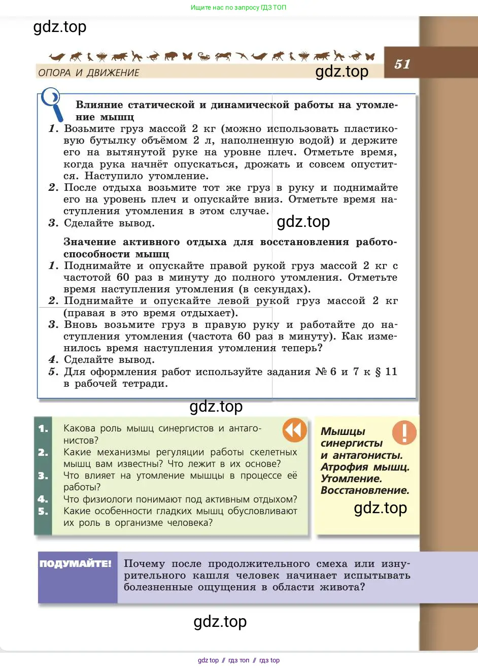 Биология, 8 класс Учебник, авторы: Пасечник Владимир Васильевич, Каменский Андрей Александрович, Швецов Глеб Геннадьевич, издательство Просвещение, Москва, 2019, страница 51