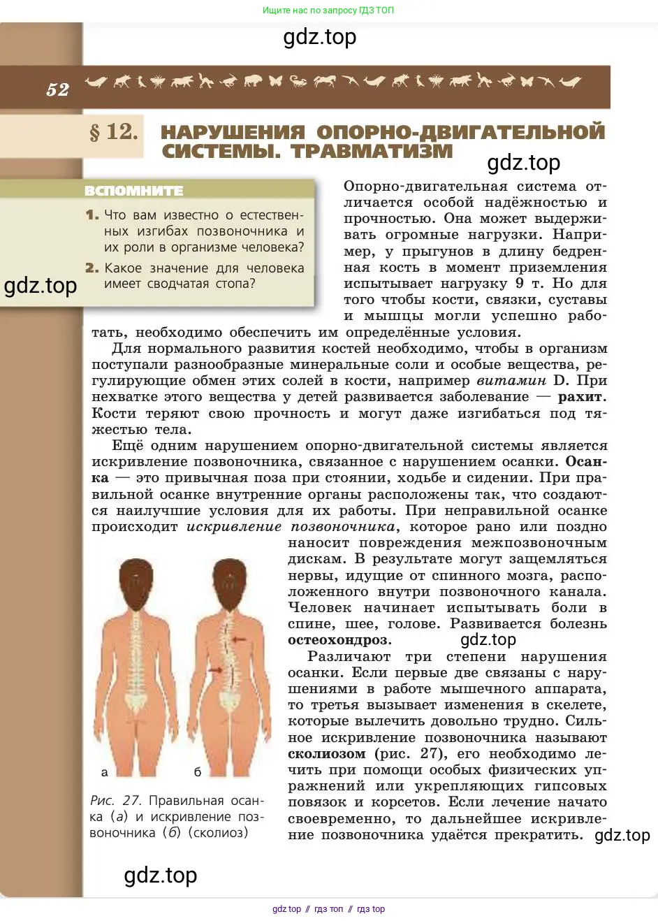 Биология, 8 класс Учебник, авторы: Пасечник Владимир Васильевич, Каменский Андрей Александрович, Швецов Глеб Геннадьевич, издательство Просвещение, Москва, 2019, страница 52