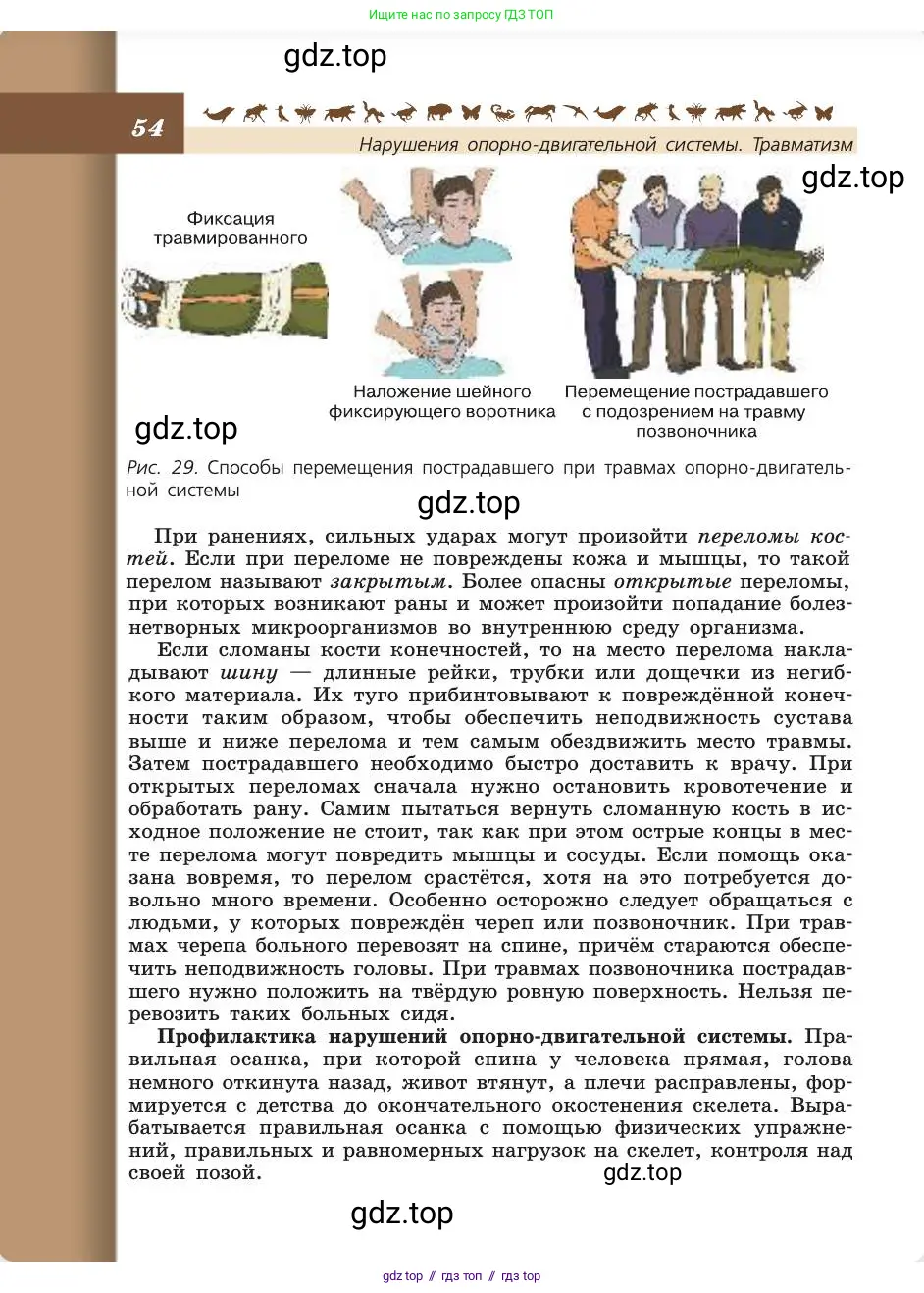 Биология, 8 класс Учебник, авторы: Пасечник Владимир Васильевич, Каменский Андрей Александрович, Швецов Глеб Геннадьевич, издательство Просвещение, Москва, 2019, страница 54
