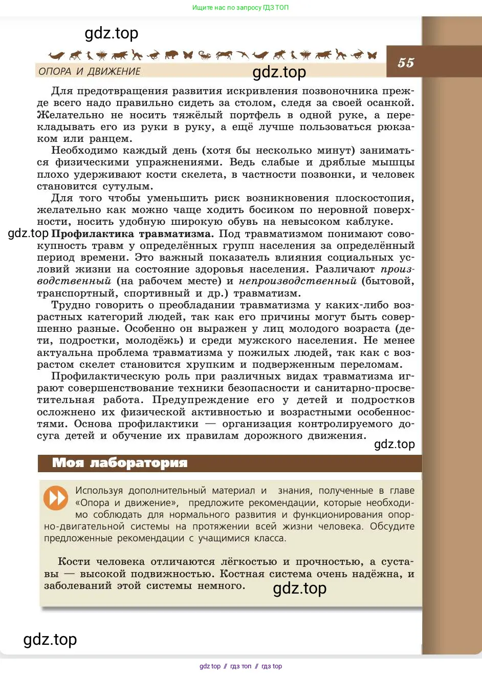 Биология, 8 класс Учебник, авторы: Пасечник Владимир Васильевич, Каменский Андрей Александрович, Швецов Глеб Геннадьевич, издательство Просвещение, Москва, 2019, страница 55
