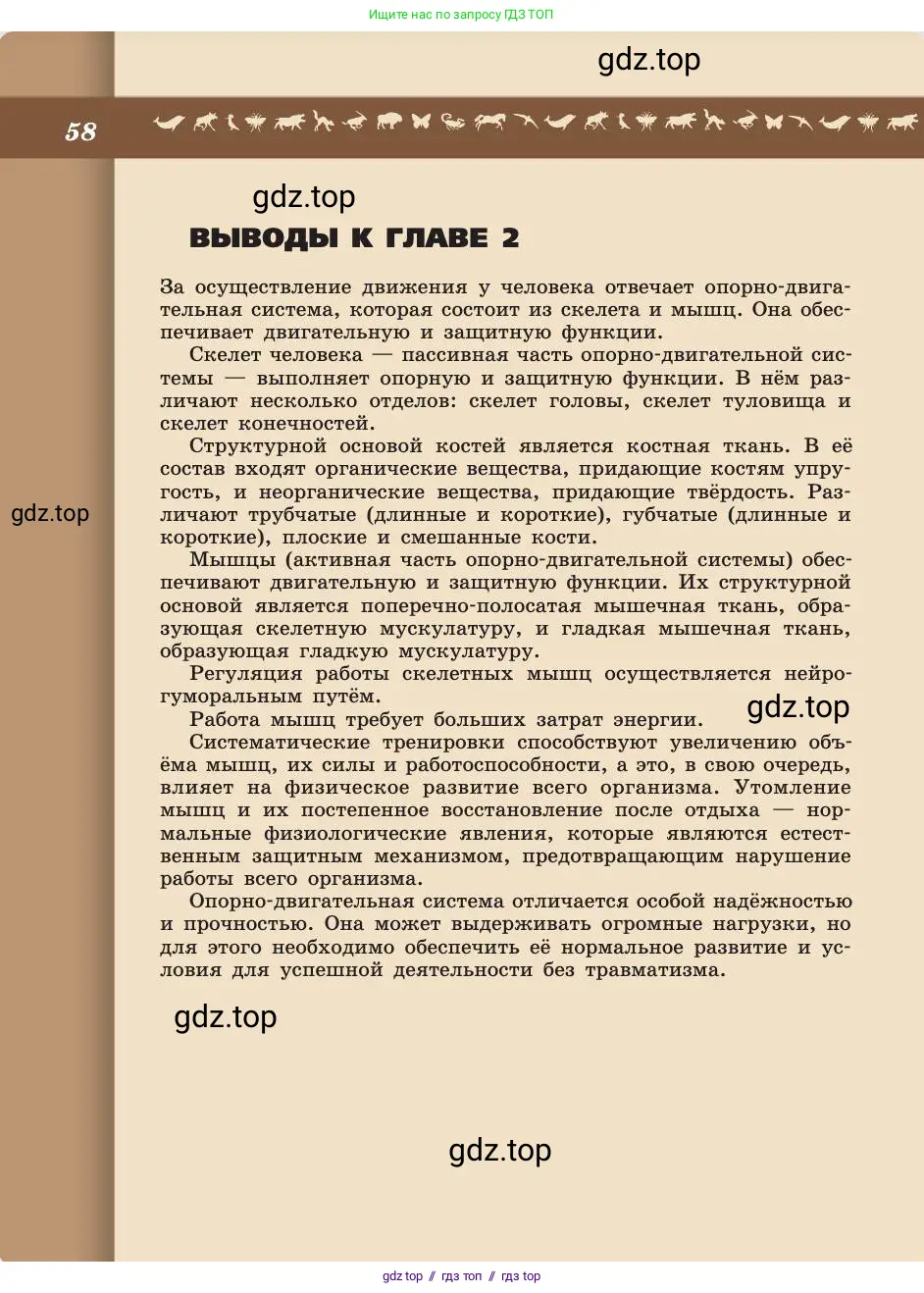 Биология, 8 класс Учебник, авторы: Пасечник Владимир Васильевич, Каменский Андрей Александрович, Швецов Глеб Геннадьевич, издательство Просвещение, Москва, 2019, страница 58