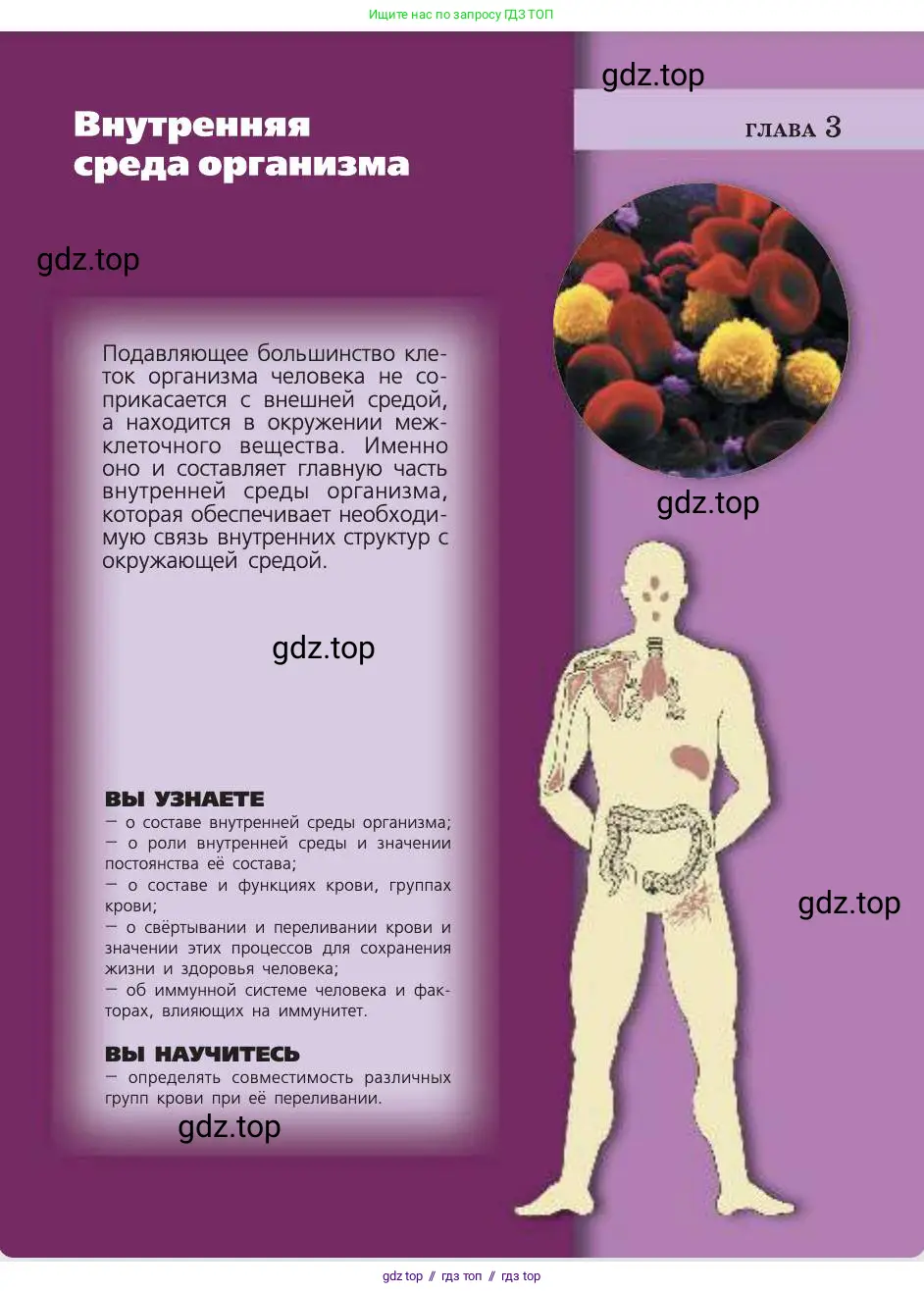 Биология, 8 класс Учебник, авторы: Пасечник Владимир Васильевич, Каменский Андрей Александрович, Швецов Глеб Геннадьевич, издательство Просвещение, Москва, 2019, страница 59