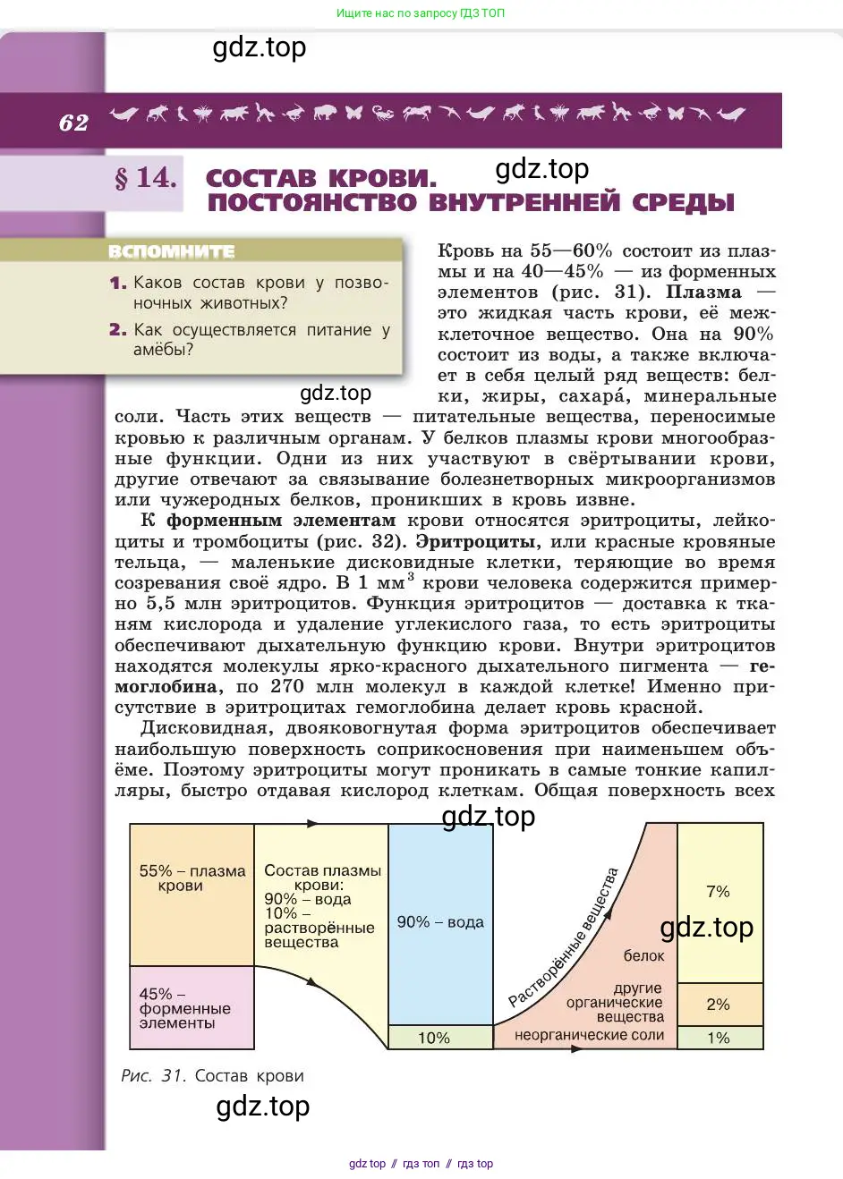 Биология, 8 класс Учебник, авторы: Пасечник Владимир Васильевич, Каменский Андрей Александрович, Швецов Глеб Геннадьевич, издательство Просвещение, Москва, 2019, страница 62