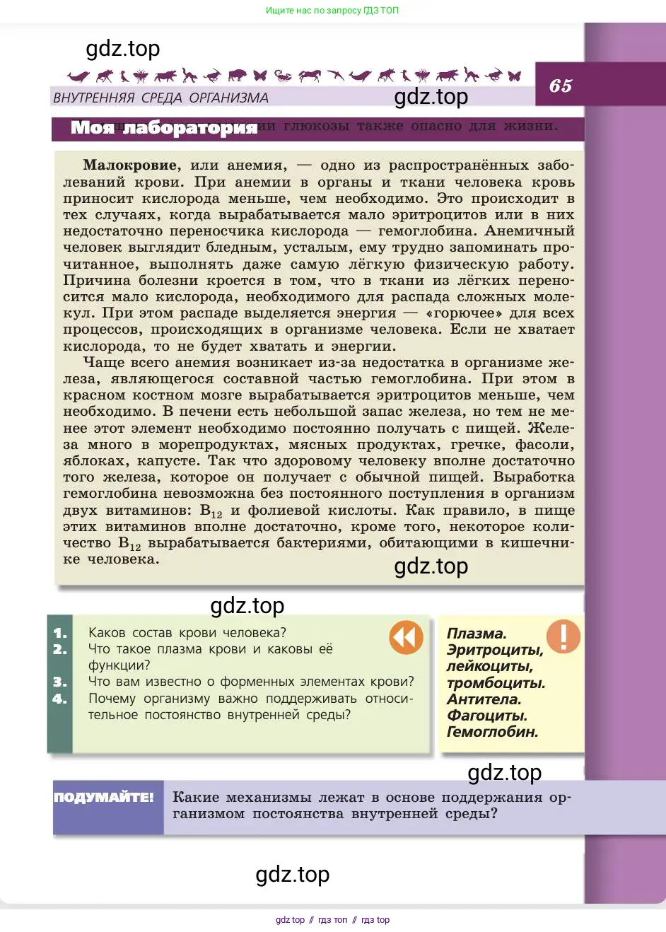 Биология, 8 класс Учебник, авторы: Пасечник Владимир Васильевич, Каменский Андрей Александрович, Швецов Глеб Геннадьевич, издательство Просвещение, Москва, 2019, страница 65