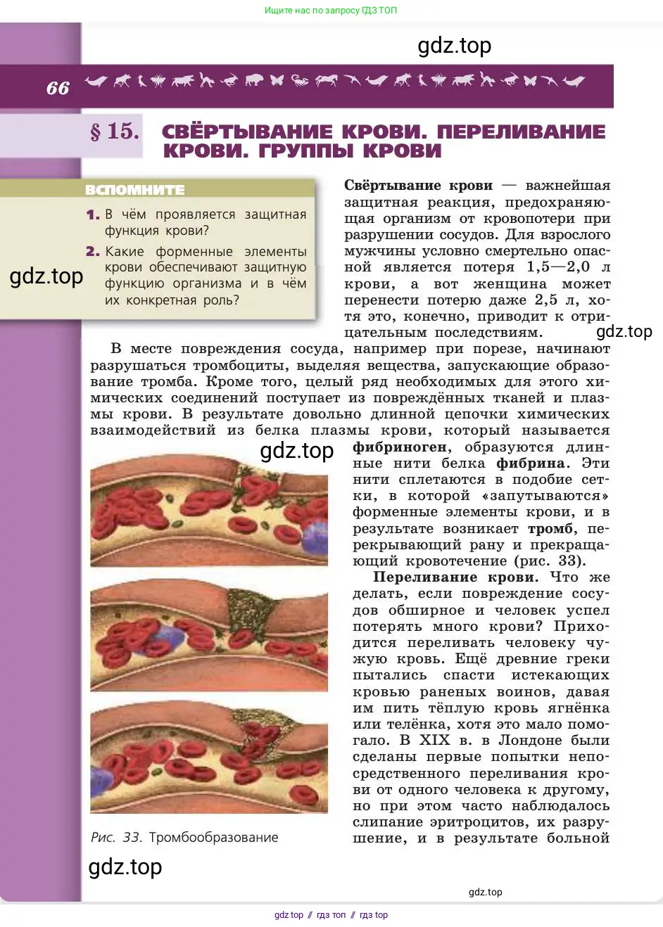 Биология, 8 класс Учебник, авторы: Пасечник Владимир Васильевич, Каменский Андрей Александрович, Швецов Глеб Геннадьевич, издательство Просвещение, Москва, 2019, страница 66