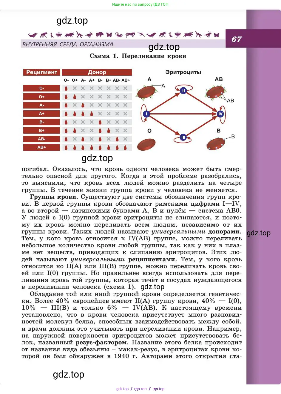 Биология, 8 класс Учебник, авторы: Пасечник Владимир Васильевич, Каменский Андрей Александрович, Швецов Глеб Геннадьевич, издательство Просвещение, Москва, 2019, страница 67