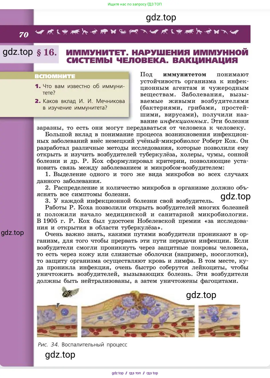Биология, 8 класс Учебник, авторы: Пасечник Владимир Васильевич, Каменский Андрей Александрович, Швецов Глеб Геннадьевич, издательство Просвещение, Москва, 2019, страница 70