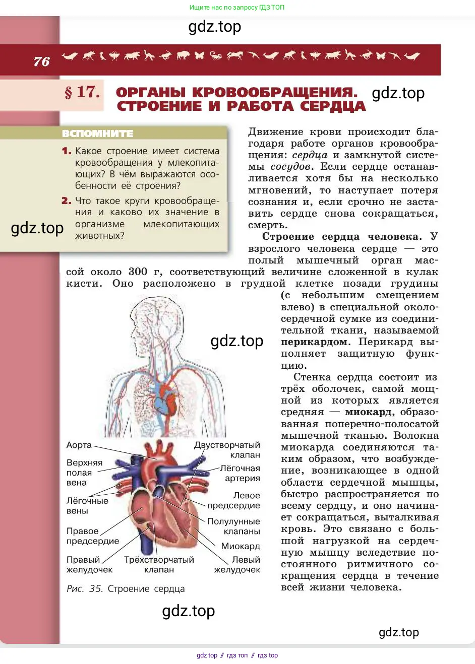 Биология, 8 класс Учебник, авторы: Пасечник Владимир Васильевич, Каменский Андрей Александрович, Швецов Глеб Геннадьевич, издательство Просвещение, Москва, 2019, страница 76