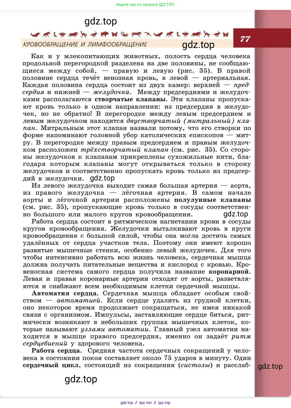 Биология, 8 класс Учебник, авторы: Пасечник Владимир Васильевич, Каменский Андрей Александрович, Швецов Глеб Геннадьевич, издательство Просвещение, Москва, 2019, страница 77