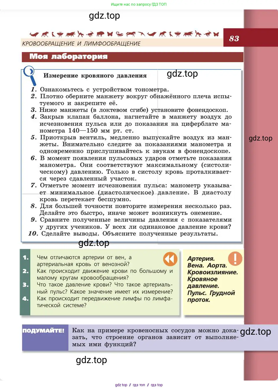 Биология, 8 класс Учебник, авторы: Пасечник Владимир Васильевич, Каменский Андрей Александрович, Швецов Глеб Геннадьевич, издательство Просвещение, Москва, 2019, страница 83