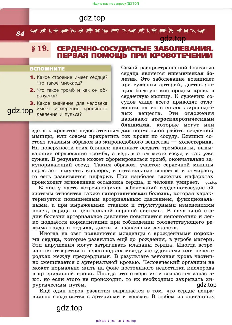 Биология, 8 класс Учебник, авторы: Пасечник Владимир Васильевич, Каменский Андрей Александрович, Швецов Глеб Геннадьевич, издательство Просвещение, Москва, 2019, страница 84