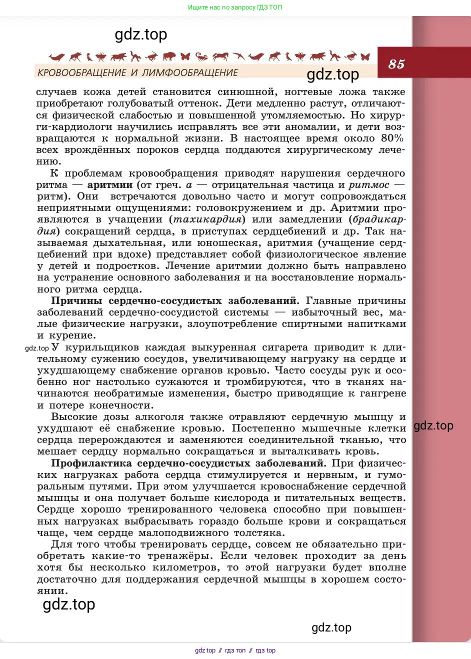 Биология, 8 класс Учебник, авторы: Пасечник Владимир Васильевич, Каменский Андрей Александрович, Швецов Глеб Геннадьевич, издательство Просвещение, Москва, 2019, страница 85