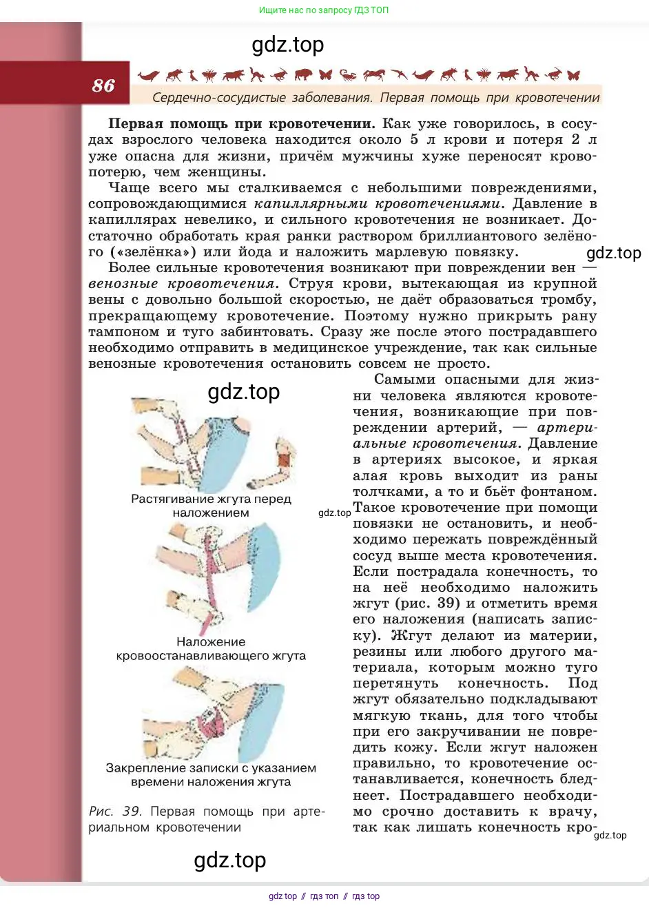 Биология, 8 класс Учебник, авторы: Пасечник Владимир Васильевич, Каменский Андрей Александрович, Швецов Глеб Геннадьевич, издательство Просвещение, Москва, 2019, страница 86