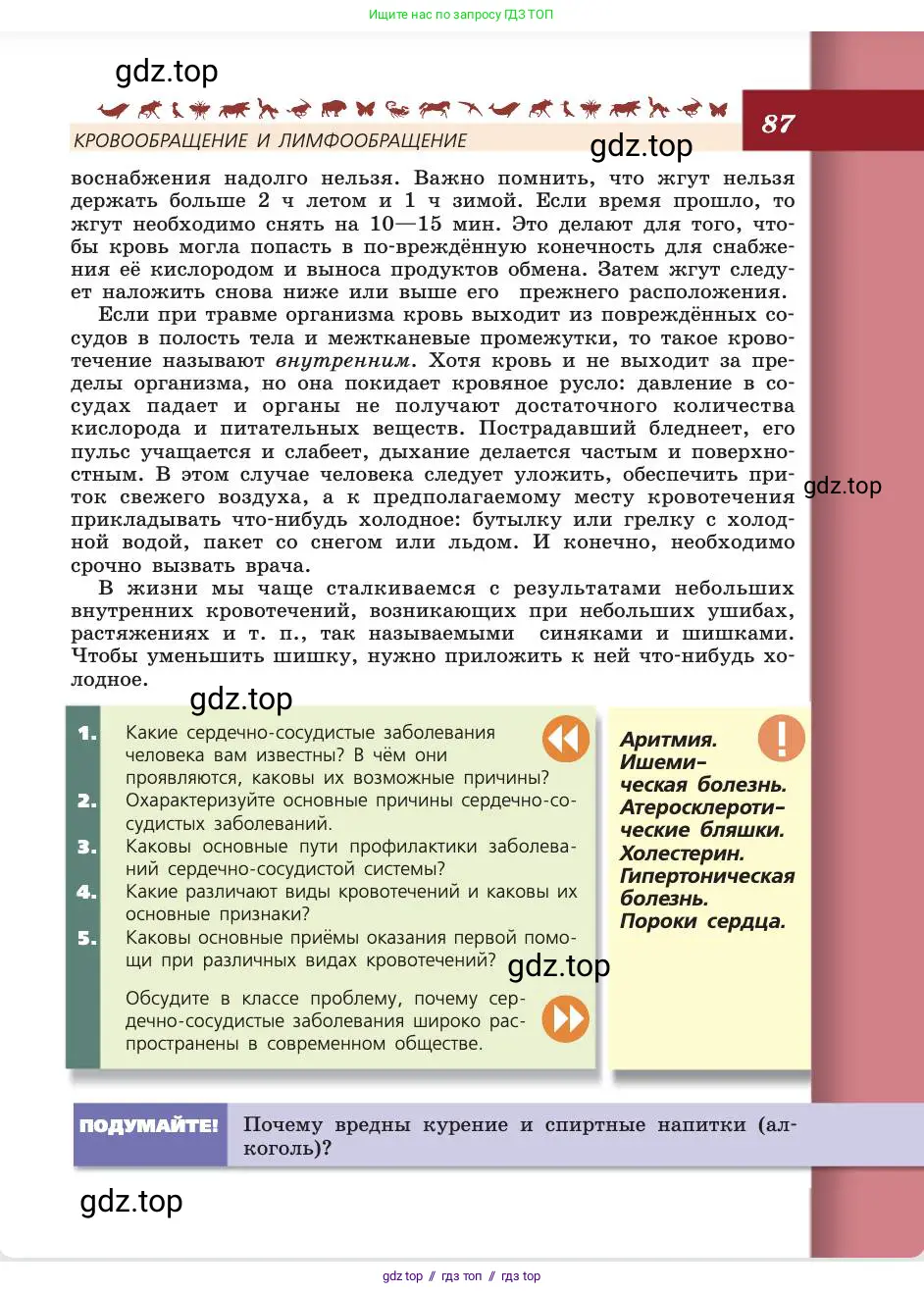 Биология, 8 класс Учебник, авторы: Пасечник Владимир Васильевич, Каменский Андрей Александрович, Швецов Глеб Геннадьевич, издательство Просвещение, Москва, 2019, страница 87