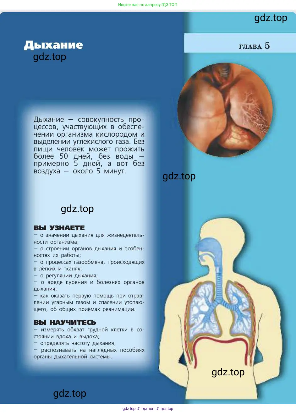 Биология, 8 класс Учебник, авторы: Пасечник Владимир Васильевич, Каменский Андрей Александрович, Швецов Глеб Геннадьевич, издательство Просвещение, Москва, 2019, страница 89