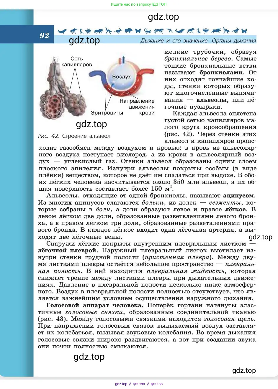 Биология, 8 класс Учебник, авторы: Пасечник Владимир Васильевич, Каменский Андрей Александрович, Швецов Глеб Геннадьевич, издательство Просвещение, Москва, 2019, страница 92
