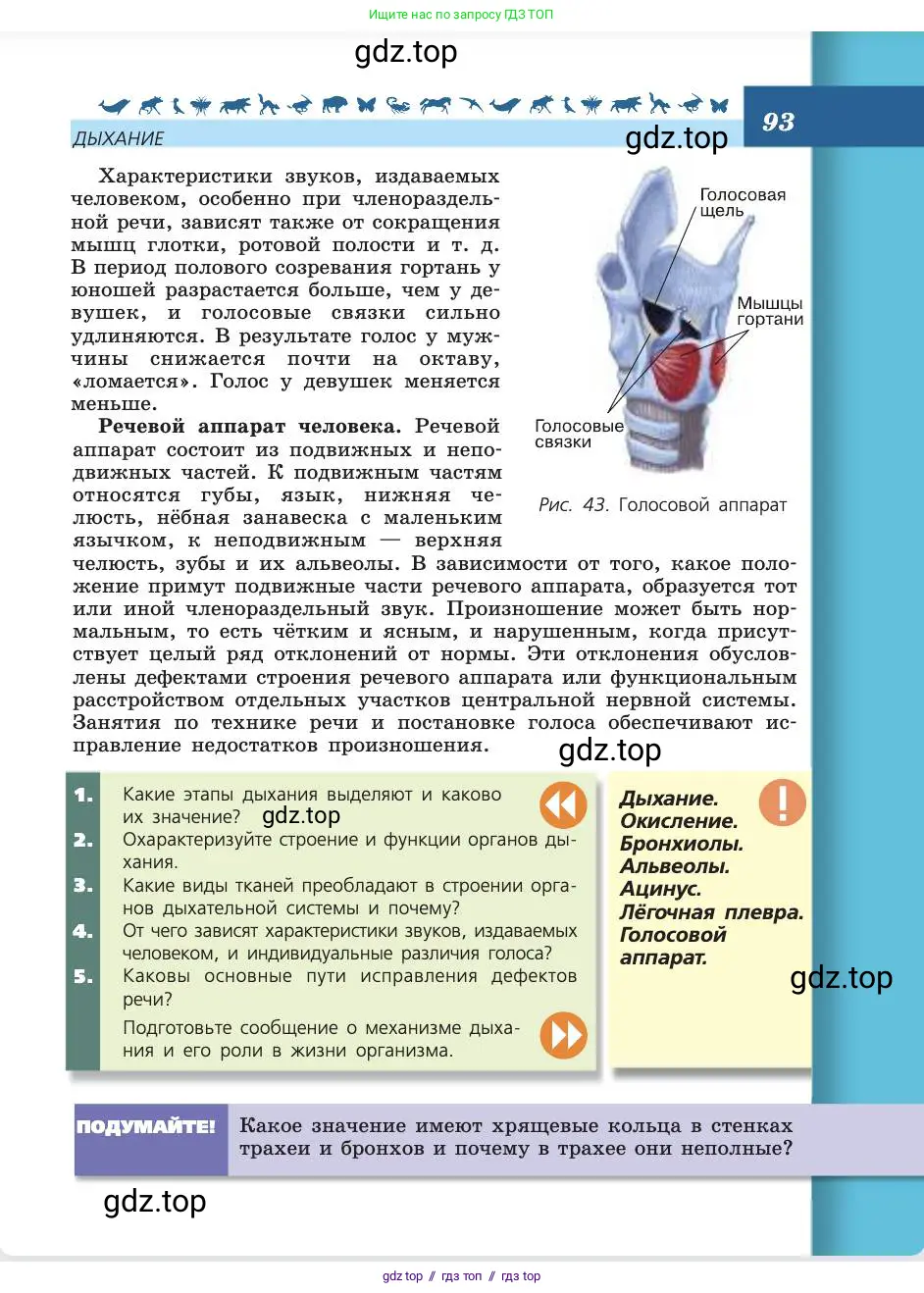 Биология, 8 класс Учебник, авторы: Пасечник Владимир Васильевич, Каменский Андрей Александрович, Швецов Глеб Геннадьевич, издательство Просвещение, Москва, 2019, страница 93