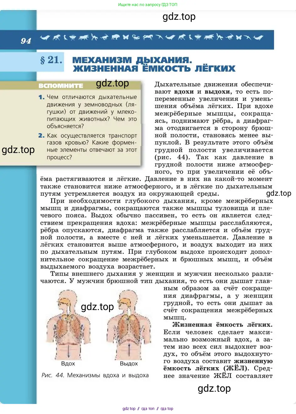 Биология, 8 класс Учебник, авторы: Пасечник Владимир Васильевич, Каменский Андрей Александрович, Швецов Глеб Геннадьевич, издательство Просвещение, Москва, 2019, страница 94