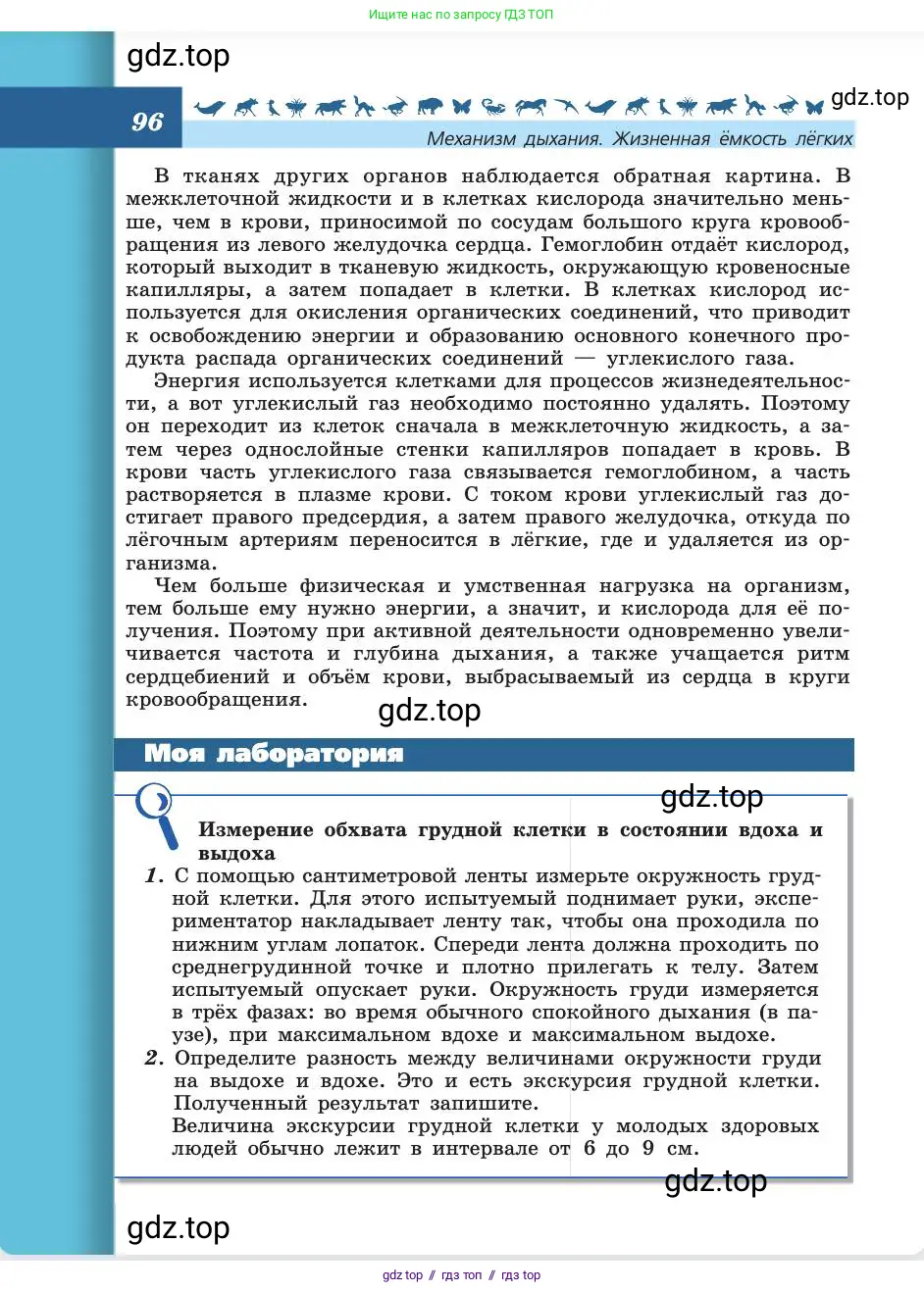 Биология, 8 класс Учебник, авторы: Пасечник Владимир Васильевич, Каменский Андрей Александрович, Швецов Глеб Геннадьевич, издательство Просвещение, Москва, 2019, страница 96