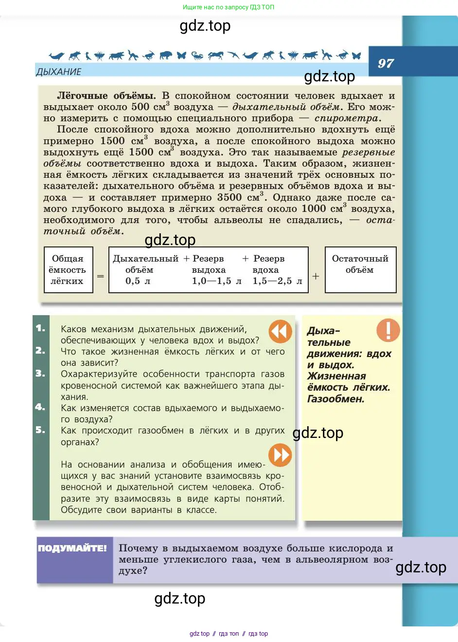 Биология, 8 класс Учебник, авторы: Пасечник Владимир Васильевич, Каменский Андрей Александрович, Швецов Глеб Геннадьевич, издательство Просвещение, Москва, 2019, страница 97