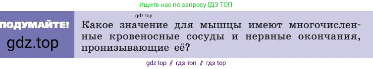 Биология, 8 класс Учебник, авторы: Пасечник Владимир Васильевич, Каменский Андрей Александрович, Швецов Глеб Геннадьевич, издательство Просвещение, Москва, 2019, страница 47, Условие
