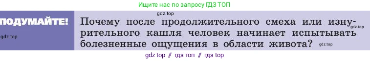 Биология, 8 класс Учебник, авторы: Пасечник Владимир Васильевич, Каменский Андрей Александрович, Швецов Глеб Геннадьевич, издательство Просвещение, Москва, 2019, страница 51, Условие