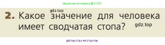 Биология, 8 класс Учебник, авторы: Пасечник Владимир Васильевич, Каменский Андрей Александрович, Швецов Глеб Геннадьевич, издательство Просвещение, Москва, 2019, страница 52, номер 2, Условие
