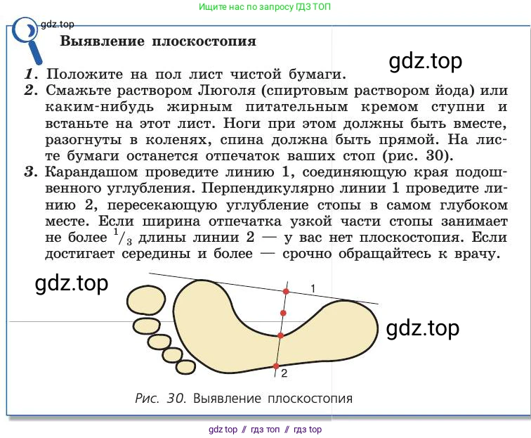 Биология, 8 класс Учебник, авторы: Пасечник Владимир Васильевич, Каменский Андрей Александрович, Швецов Глеб Геннадьевич, издательство Просвещение, Москва, 2019, страница 57, Условие