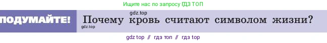 Биология, 8 класс Учебник, авторы: Пасечник Владимир Васильевич, Каменский Андрей Александрович, Швецов Глеб Геннадьевич, издательство Просвещение, Москва, 2019, страница 61, Условие