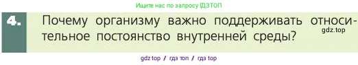 Биология, 8 класс Учебник, авторы: Пасечник Владимир Васильевич, Каменский Андрей Александрович, Швецов Глеб Геннадьевич, издательство Просвещение, Москва, 2019, страница 65, номер 4, Условие