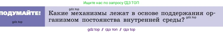 Биология, 8 класс Учебник, авторы: Пасечник Владимир Васильевич, Каменский Андрей Александрович, Швецов Глеб Геннадьевич, издательство Просвещение, Москва, 2019, страница 65, Условие