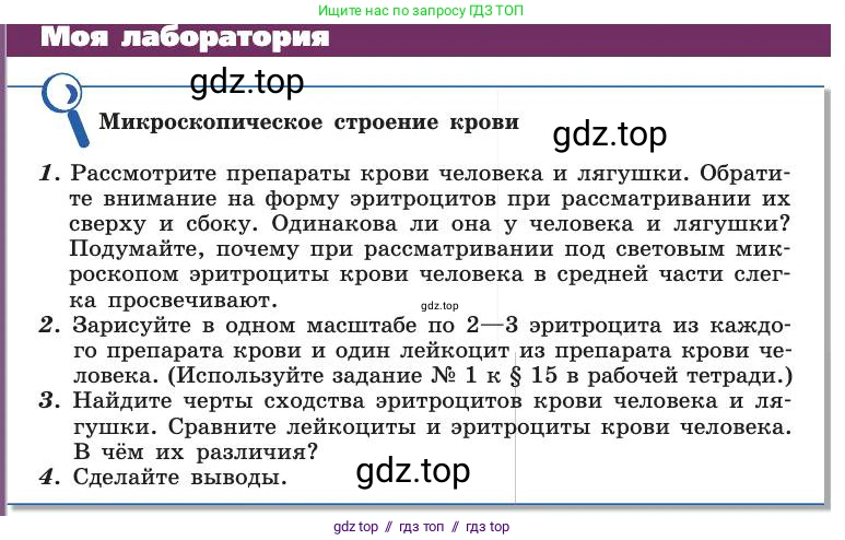 Биология, 8 класс Учебник, авторы: Пасечник Владимир Васильевич, Каменский Андрей Александрович, Швецов Глеб Геннадьевич, издательство Просвещение, Москва, 2019, страница 68, Условие