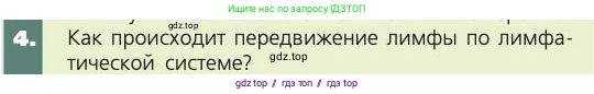 Биология, 8 класс Учебник, авторы: Пасечник Владимир Васильевич, Каменский Андрей Александрович, Швецов Глеб Геннадьевич, издательство Просвещение, Москва, 2019, страница 83, номер 4, Условие