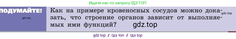 Биология, 8 класс Учебник, авторы: Пасечник Владимир Васильевич, Каменский Андрей Александрович, Швецов Глеб Геннадьевич, издательство Просвещение, Москва, 2019, страница 83, Условие
