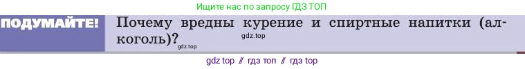 Биология, 8 класс Учебник, авторы: Пасечник Владимир Васильевич, Каменский Андрей Александрович, Швецов Глеб Геннадьевич, издательство Просвещение, Москва, 2019, страница 87, Условие