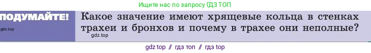 Биология, 8 класс Учебник, авторы: Пасечник Владимир Васильевич, Каменский Андрей Александрович, Швецов Глеб Геннадьевич, издательство Просвещение, Москва, 2019, страница 93, Условие