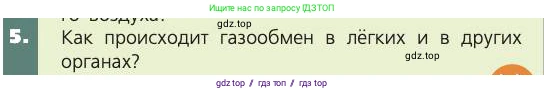 Биология, 8 класс Учебник, авторы: Пасечник Владимир Васильевич, Каменский Андрей Александрович, Швецов Глеб Геннадьевич, издательство Просвещение, Москва, 2019, страница 97, номер 5, Условие