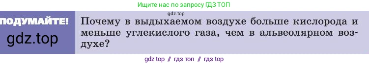Биология, 8 класс Учебник, авторы: Пасечник Владимир Васильевич, Каменский Андрей Александрович, Швецов Глеб Геннадьевич, издательство Просвещение, Москва, 2019, страница 97, Условие