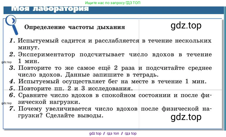 Биология, 8 класс Учебник, авторы: Пасечник Владимир Васильевич, Каменский Андрей Александрович, Швецов Глеб Геннадьевич, издательство Просвещение, Москва, 2019, страница 101, Условие