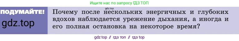 Биология, 8 класс Учебник, авторы: Пасечник Владимир Васильевич, Каменский Андрей Александрович, Швецов Глеб Геннадьевич, издательство Просвещение, Москва, 2019, страница 101, Условие