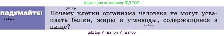 Биология, 8 класс Учебник, авторы: Пасечник Владимир Васильевич, Каменский Андрей Александрович, Швецов Глеб Геннадьевич, издательство Просвещение, Москва, 2019, страница 113, Условие