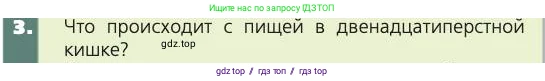 Биология, 8 класс Учебник, авторы: Пасечник Владимир Васильевич, Каменский Андрей Александрович, Швецов Глеб Геннадьевич, издательство Просвещение, Москва, 2019, страница 121, номер 3, Условие