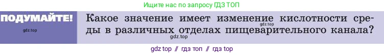 Биология, 8 класс Учебник, авторы: Пасечник Владимир Васильевич, Каменский Андрей Александрович, Швецов Глеб Геннадьевич, издательство Просвещение, Москва, 2019, страница 121, Условие