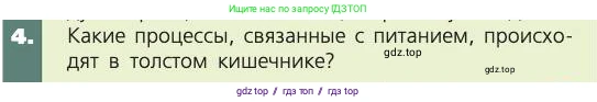 Биология, 8 класс Учебник, авторы: Пасечник Владимир Васильевич, Каменский Андрей Александрович, Швецов Глеб Геннадьевич, издательство Просвещение, Москва, 2019, страница 125, номер 4, Условие