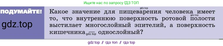 Биология, 8 класс Учебник, авторы: Пасечник Владимир Васильевич, Каменский Андрей Александрович, Швецов Глеб Геннадьевич, издательство Просвещение, Москва, 2019, страница 125, Условие