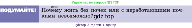 Биология, 8 класс Учебник, авторы: Пасечник Владимир Васильевич, Каменский Андрей Александрович, Швецов Глеб Геннадьевич, издательство Просвещение, Москва, 2019, страница 155, Условие